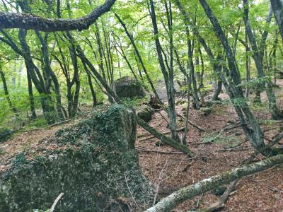 Прикрепленное изображение: 007.jpg